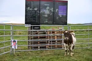 You Can Watch A Cow Play Eve Online Right Now featured image for Haven gaming news, sourced from GameSpot