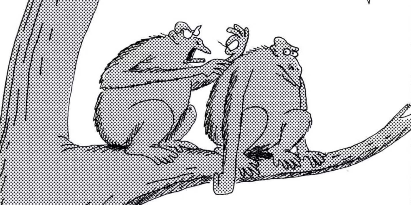 10 Greatest 'far Side' Comics From The ‘80’s, Ranked featured image for Haven gaming news, sourced from Polygon