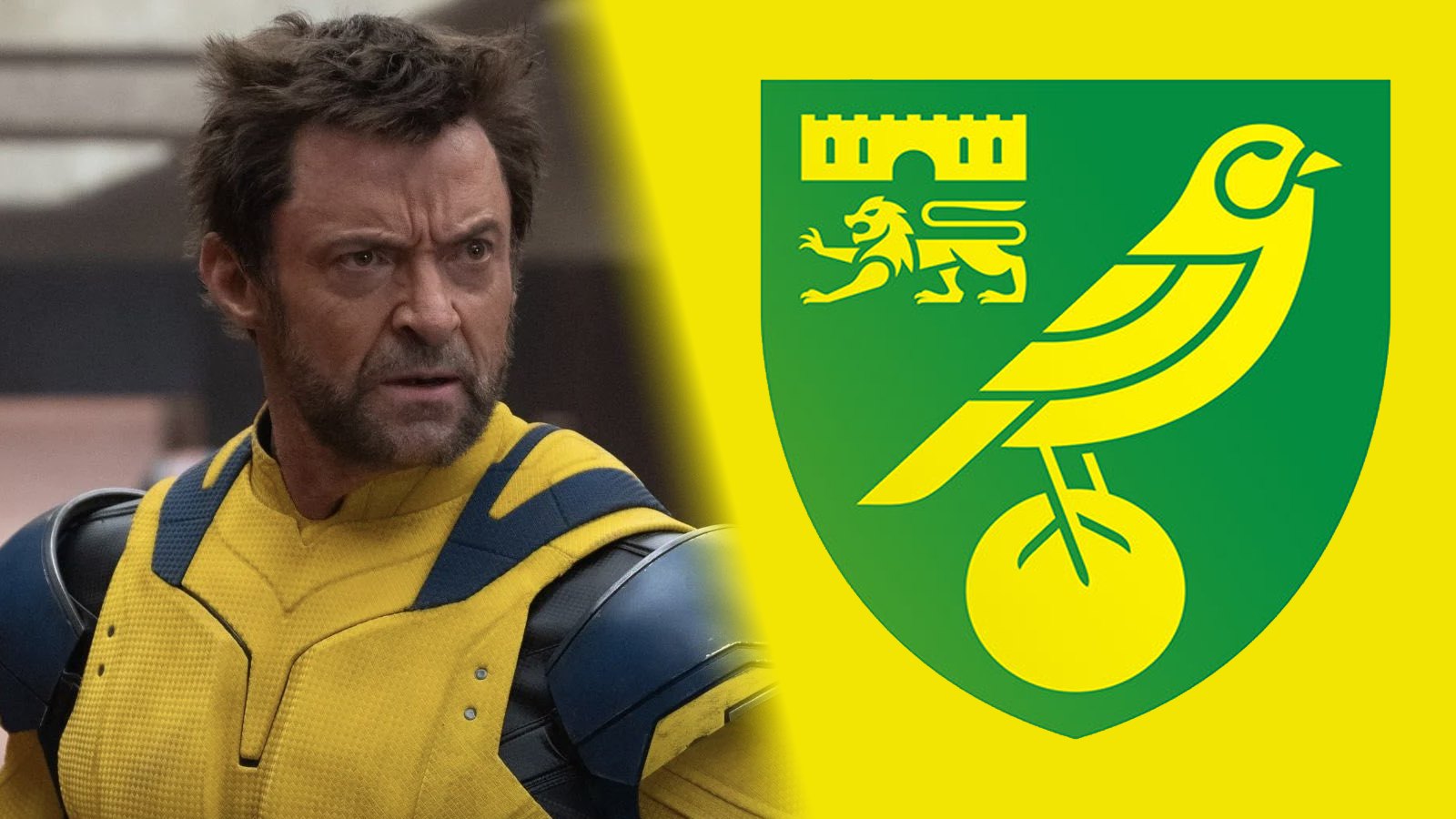 Wolverine Legend Hugh Jackman Looks Set To Invest In An English Football Team, Following Deadpool Star Ryan Reynolds' Success With Wrexham featured image for Haven gaming news, sourced from IGN