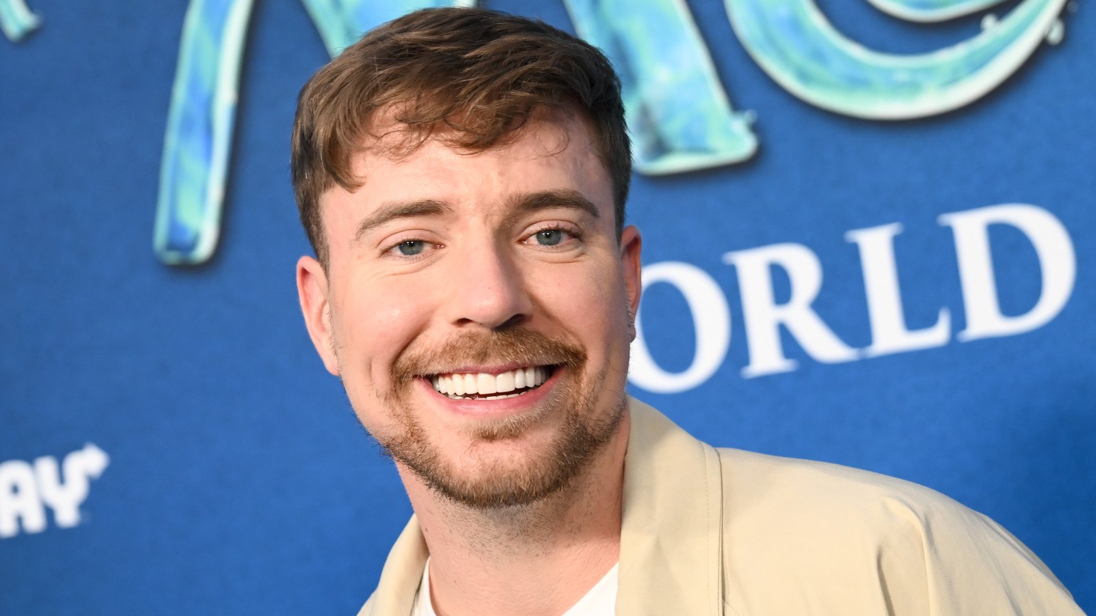 YouTube Star MrBeast Is Now Trying To Get Into Books, But His First Release Is Reportedly 'on Track To Be A Historic Bomb' featured image for Haven gaming news, sourced from IGN
